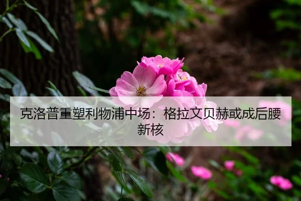 ke-luo-pu-zhong-su-li-wu-pu-zhong-chang-ge-la-wen-bei-he-huo-cheng-hou-yao-xin-he-3-222.jpg