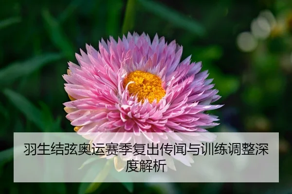 yu-sheng-jie-xian-ao-yun-sai-ji-fu-chu-chuan-wen-yu-xun-lian-tiao-zheng-shen-du-jie-xi-3-733.jpg