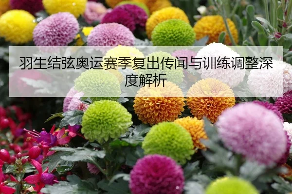 羽生结弦奥运赛季复出传闻与训练调整深度解析