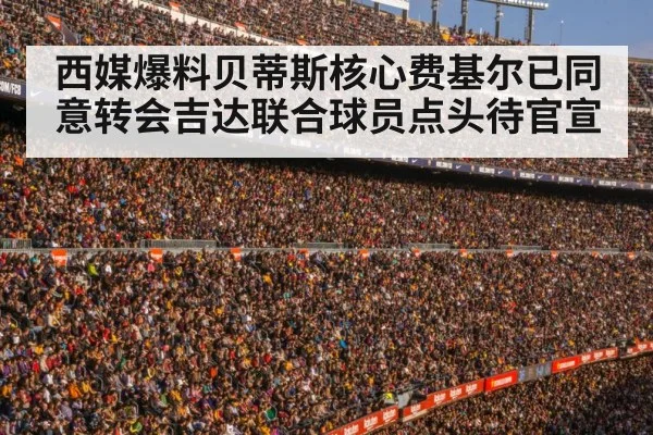 football stadium crowd